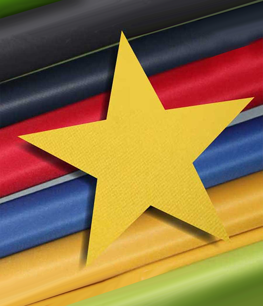 Adhesivo bi faz termo transferible para textiles